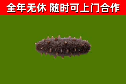 岳塘烟酒回收干海参.jpg